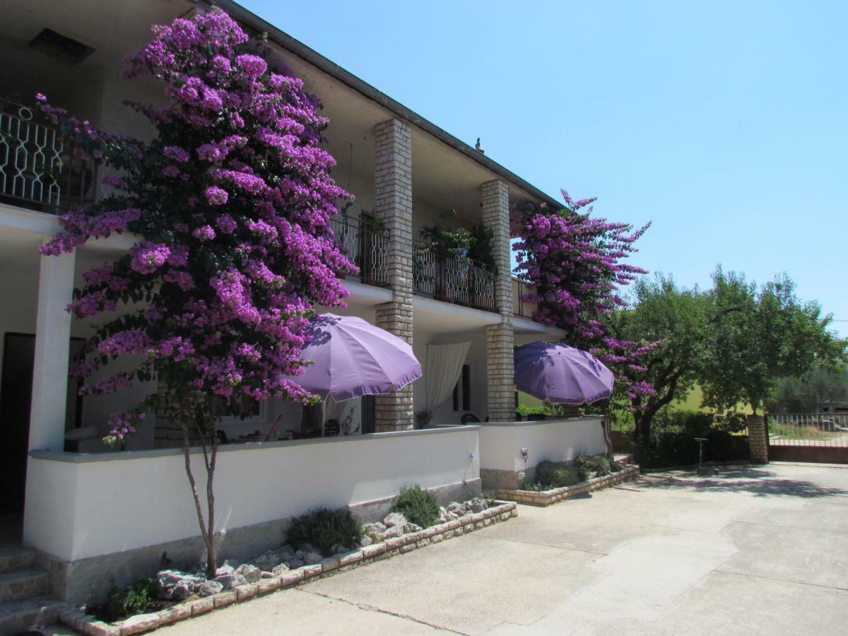 Apartments Pipi Пакоштане Экстерьер фото